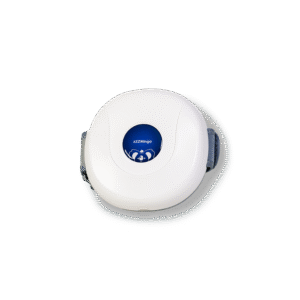 Bian Stone Adbominal Massage Device